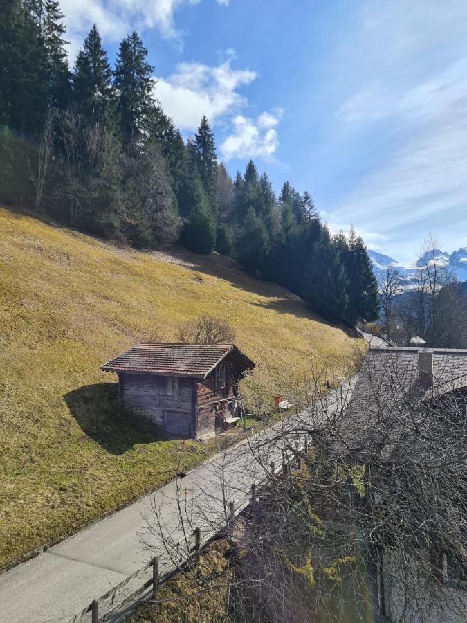 Traditional Chalet In Wengen - Top Floorアパートメント エクステリア 写真