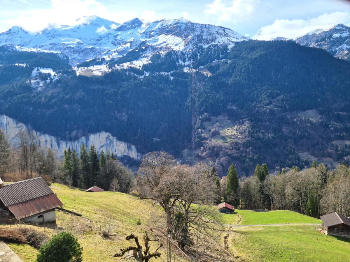 Traditional Chalet In Wengen - Top Floorアパートメント エクステリア 写真