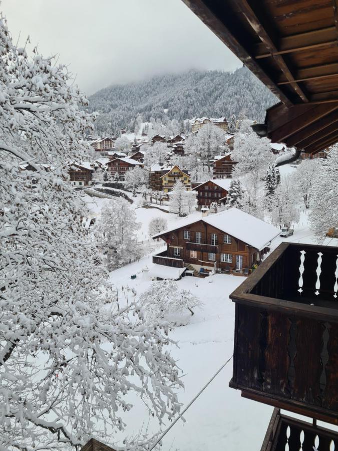 Traditional Chalet In Wengen - Top Floorアパートメント エクステリア 写真