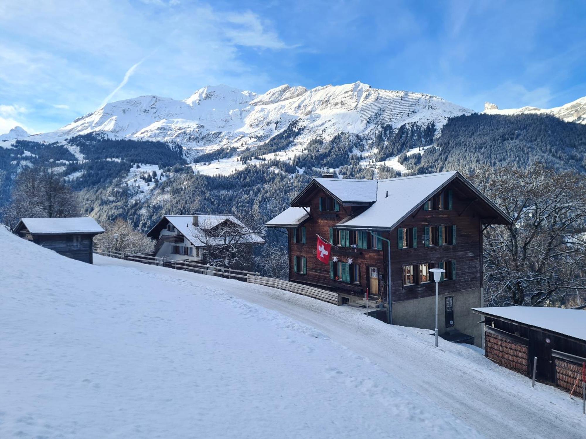 Traditional Chalet In Wengen - Top Floorアパートメント エクステリア 写真