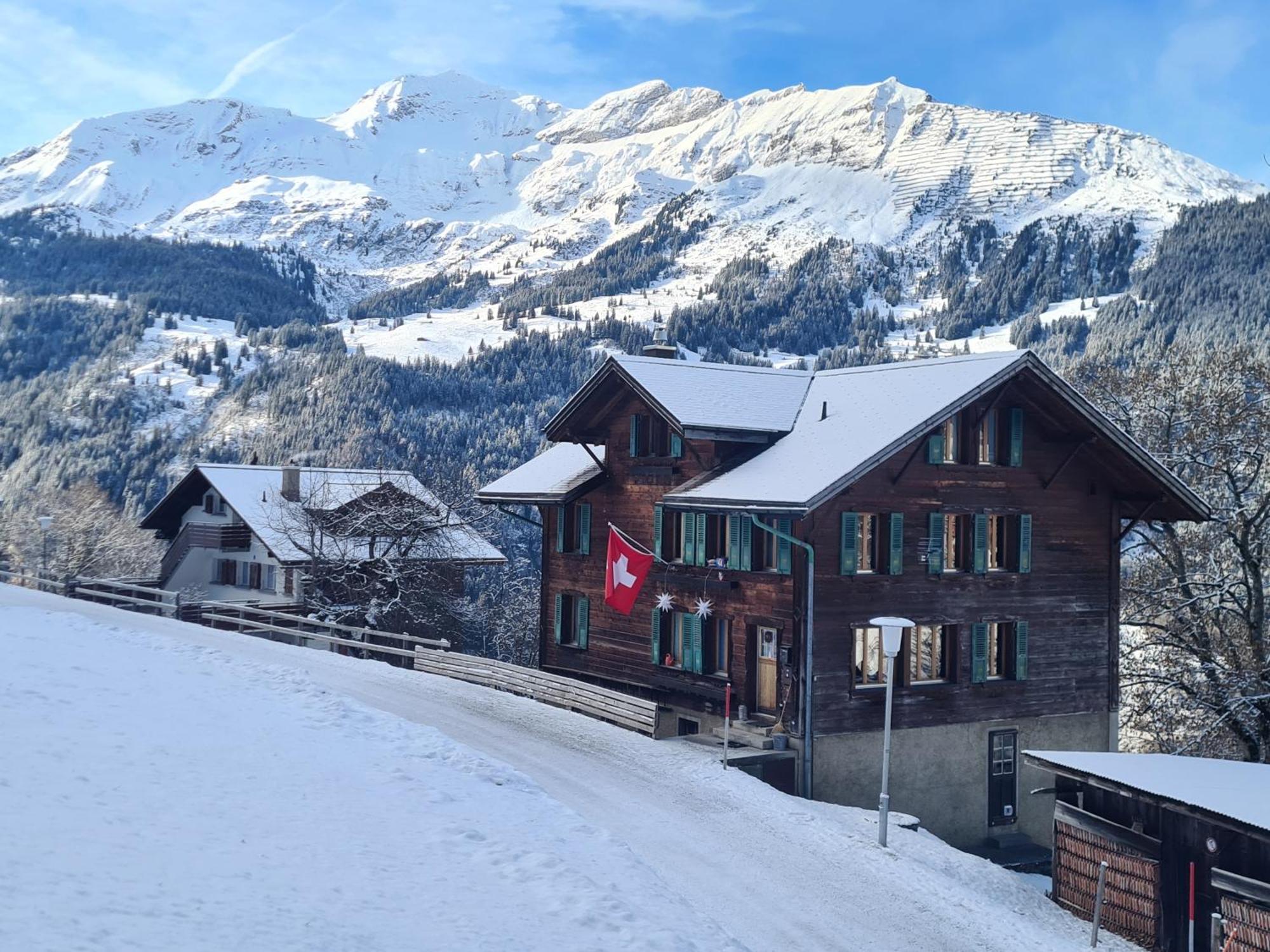 Traditional Chalet In Wengen - Top Floorアパートメント エクステリア 写真